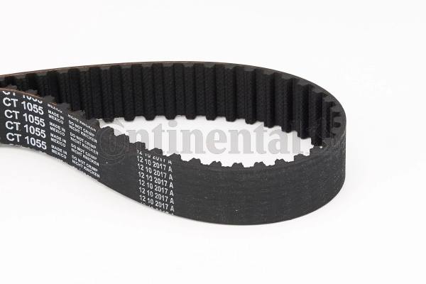 Timing Belt